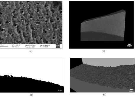 Fig. 1 Microstructural characterization of the dentine-enamel-junction (DEJ) (a) ESEM observation of scalloped structure; (b) 3-D reconstruction of DEJ sample; (c) 2-D projection of binary image of the DEJ; (d) scallop-like cross-section of the DEJ