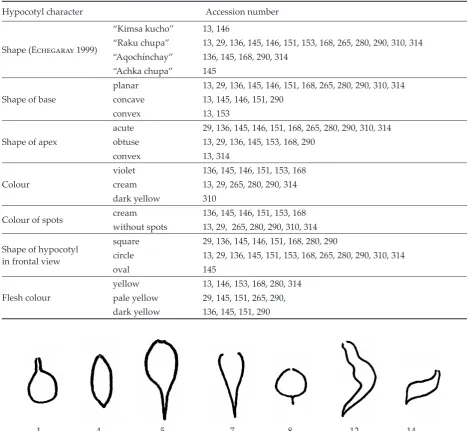 Table 2. Hypocotyl variation in maca accessions 