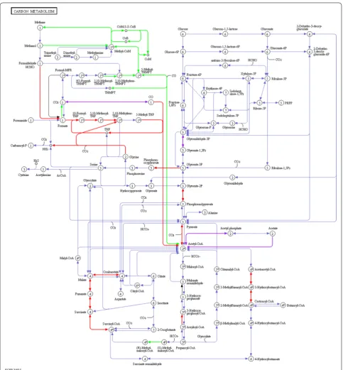 Fig. 7 Assignment of identified microbial proteins to the KEGG map 1200 (carbon metabolism) (green Archaea, red Bacteria, purple metaproteins of Archaea and Bacteria where the taxonomy of metaproteins could not be assigned on superkingdom level)