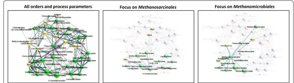 Fig. 5 Graph network of taxonomic orders (green nodes) and process parameters (yellow nodes)