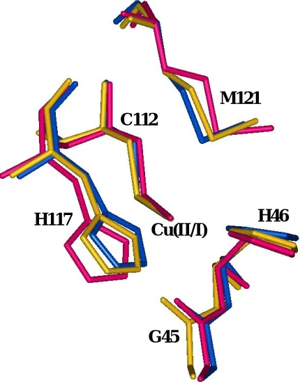 Figure 1 . Superimposed structures of the crystal and minimized structures of AZ. 