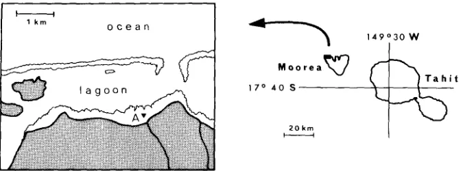 Fig. 1: Moorea Island and the study area 
