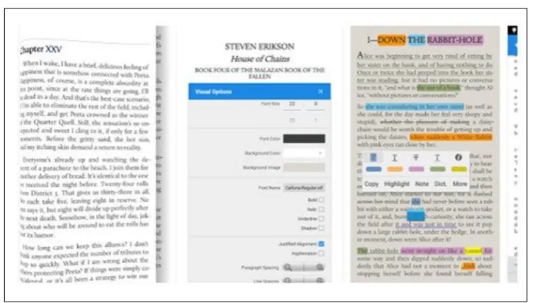 Figure 2.1: Moon reader pro - Interface