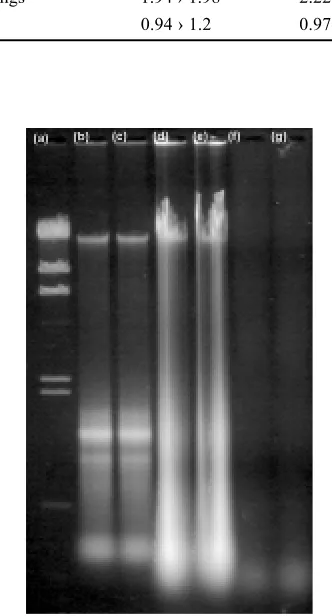 Table 1. Comparison of DNAs quality after their isolations byHanse Analytik kit and after their subsequent purifications byWizard kit