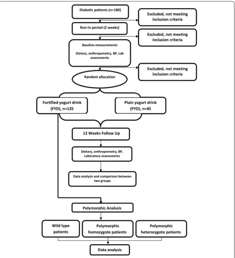 Figure 1 A summary of the interventional study.