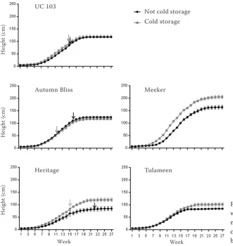 Table 4. Effect of cold treatment on height and number of nodes in the five genotypes
