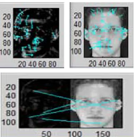 Fig. 3.  Keypoint detecting by PCA-SIFT using a sample of face image in  ORL database 