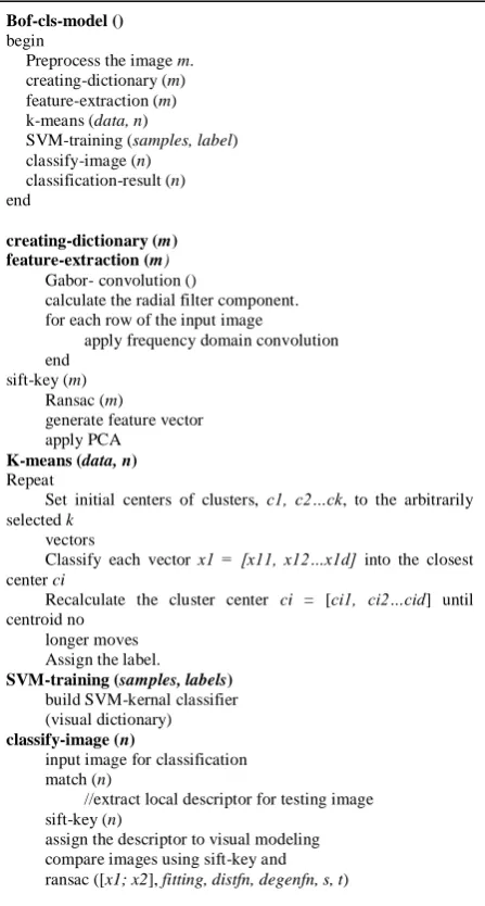 Fig. 2. Algorithm for Bag of feature based classification 