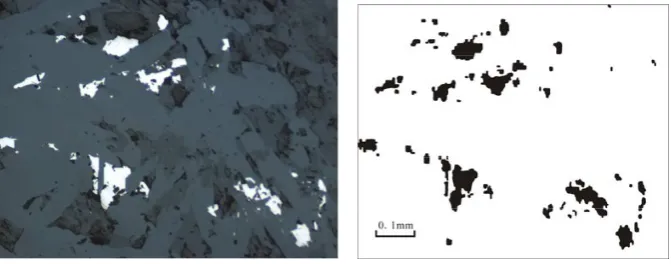 Fig.1. (a) The digital image of the sample from the second basalt segment under the Environmental Scanning  The digital image of the sample from the second basalt segment under the Environmental Scanning Electron Microscope (ESEM).