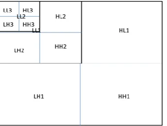 Fig 2 (b): Higher level Column wise and Row wise decomposition of Spatial DWT  