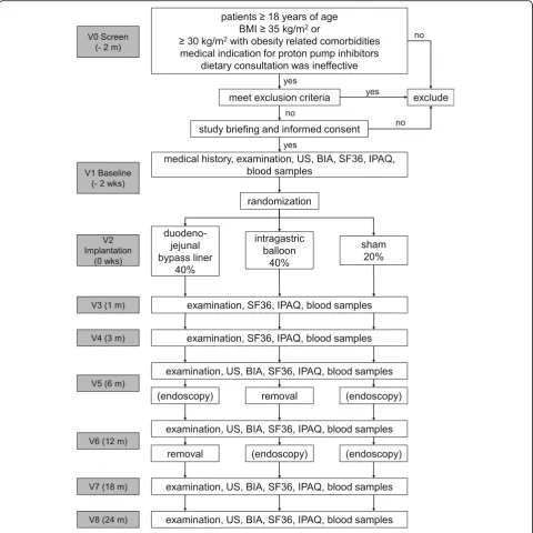 Fig. 1 Treatment scheme