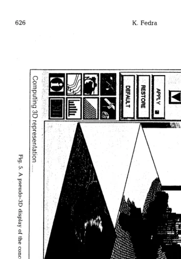 Fig. 5. A pseudo-3D display of the concentration field 