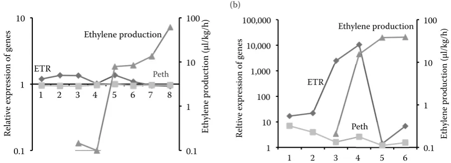 Fig. 4. Expression profiles of the genes involved in ethylene biosynthesis (ETR – receptor of 1-aminocyclopropane-1-car-boxylic acid, Peth – putative ethylene receptor protein 1), and ethylene production rate in fruits of apple cvs (a) Golden Delicious and