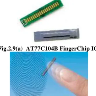 Fig.2.9(a)  AT77C104B FingerChip IC.  