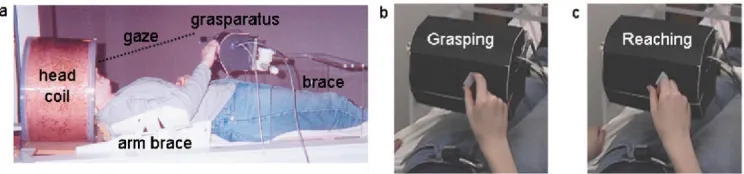 Figure    1.7:    Univariate    activation    maps    overlaid    on    3d    inflated    brain    template:    A