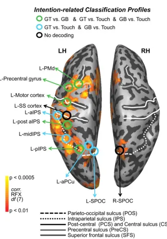 Figure    1.9:    ROIs’    decoding    accuracy    during    planning    phase