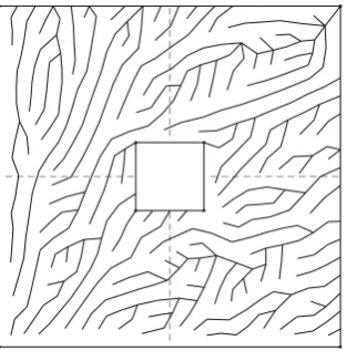 Figure 4: A mesh of a square with a hole after cell combining. Loose tails are left behind, which can beremoved with p-Reduce algorithm.