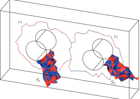 Figure 6: Representatives c1 and c2 of generators of H1�Ω� and the corresponding representatives S1 andS2 of the dual generators of H2�Ω, ∂Ω�.