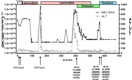 Figure 1. Viral load dynamics and course of ALT during treatment. Samples negative by PCR were  calculated as 1.87 x10 2 , half of the range from 0 to the lower level of undetectability of 373 copies/