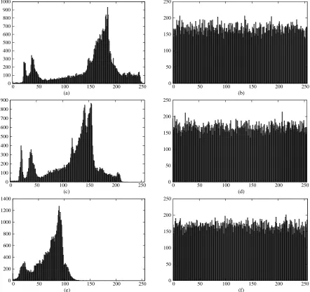 Figure 4. Example of RGB-color image encryption: (a) The plain-image of a caravan in the desert and (b) Its corresponding cipher-image using the key K  (given in Table 1)