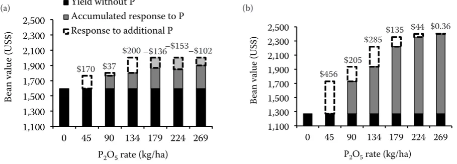 Fig. 5. Changes in bean size (a) and ratio (b) of bean length to bean diameter value of beans at different phosphorus ap-plication rates in Belle Glade from March 1 to April 27, 2012