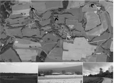 Fig. 1. Main natural and cul-tural compositional axis and 