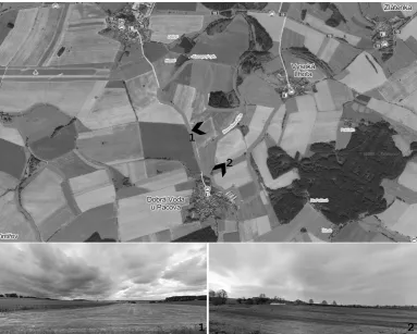 Fig. 3. Worst compositional unit – unit P. A structure of the area is simple, empty, consists mainly of arable land, the silhouette of a settlement is disturbed by inappropriate building development
