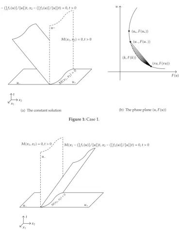 Figure 2: The shock wave solution of Case 2.