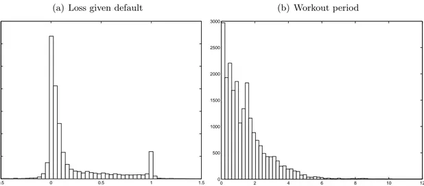 Figure 1. Empirical distribution LGD and workout period