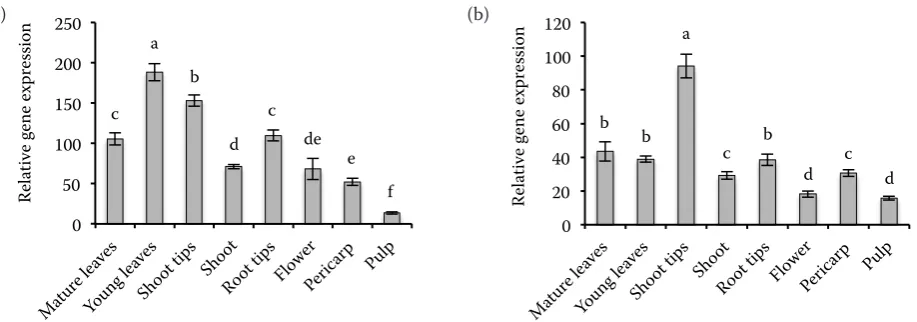 Fig. 2. APX (a) and DHAR (b) enzyme activity in the organs of cv. Conchita tomato plants   bars represent means (+ standard error) of three biological replications; indicator letters in common denote a lack of a signifi-cant difference  