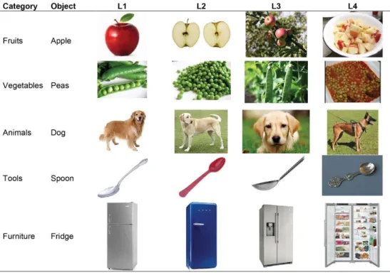 Figure 2.2 : A sample of images from the dataset used for teaching and assessment. 