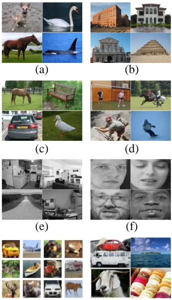 Fig. 5. Some example images in the adopted datasets. (a) is CaltechAnimal dataset, (b) is Architecture dataset, (c) is MSRC dataset, (d) is UIUC dataset, (e) is Scene15 dataset, (f) is ORLFace dataset, (g) is CIFAR100 dataset, and (h) is NUS-WIDE dataset.