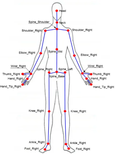Figure 2.4: Skeleton positions of the Microsoft Kinect relative to the human body. The figure is adapted from Microsoft (2013a).
