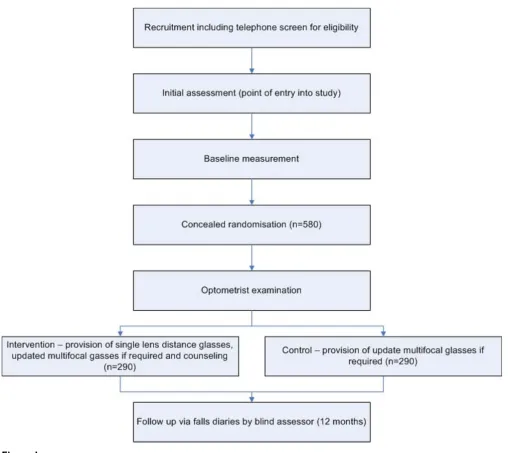 Figure 1Flow of participants through the trialFlow of participants through the trial.