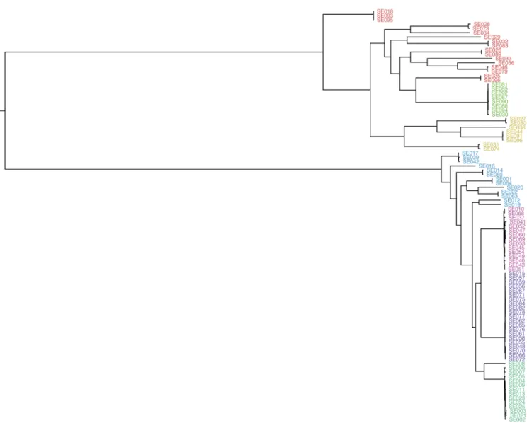 Figure 1. The phylogeny inferred by Kremer et al. 11  used as the true tree in simulations