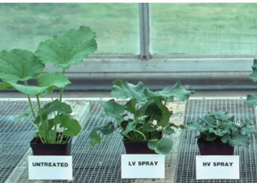Figure 3. For the soil-active PGRs, spray application volume is critical. 
