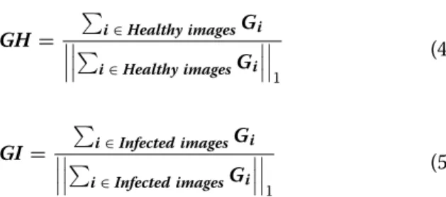 Fig. 6  Image specific class saliency maps for the charcoal rot infected (top) and healthy (bottom) test images