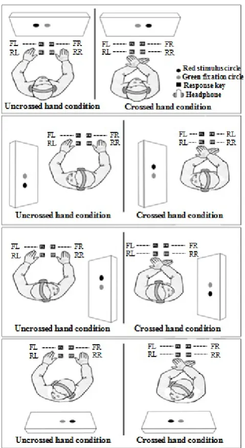 Fig. 1. The four different head orientations with uncrossed and crossed  hand conditions