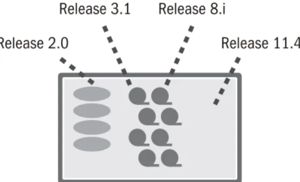 Figure 8.  Over time, newer releases of the software will change the data structure