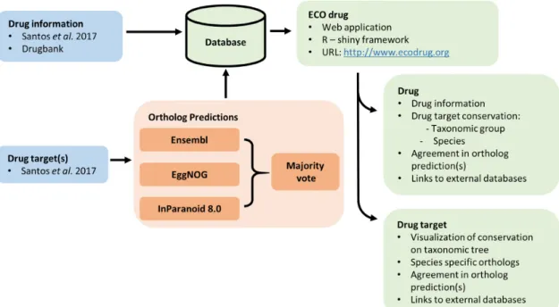 Figure 1. Schematic of the ECOdrug data sources and features. Information on drugs and associated targets (9) was combined with ortholog predictions (19–21) that can be accessed through the ECOdrug application.