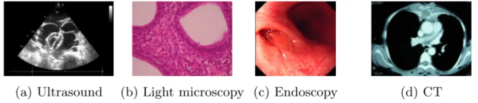 Figure 2: Examples of medical images from various moralities.