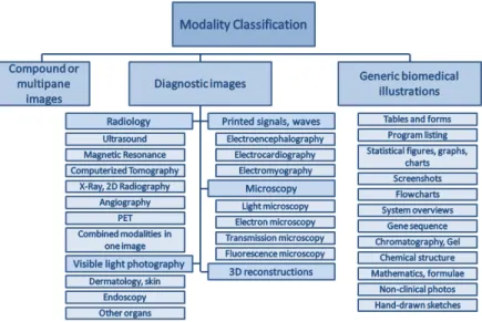 Figure 3: The image class hierarchy provided by ImageCLEFmed for document images oc- oc-curring in the biomedical open access literature.