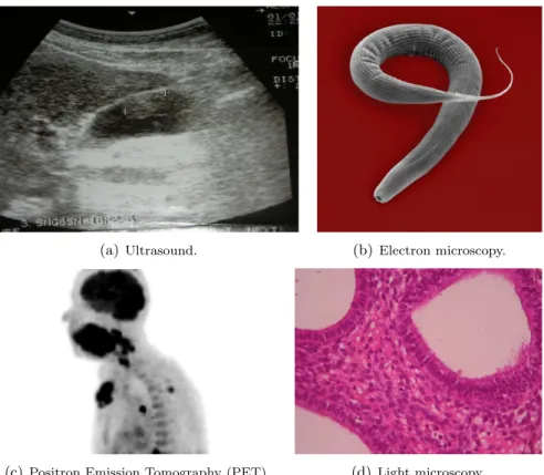 Figure 2.5: Examples of images of various modalities that can be found in the biomedical literature.