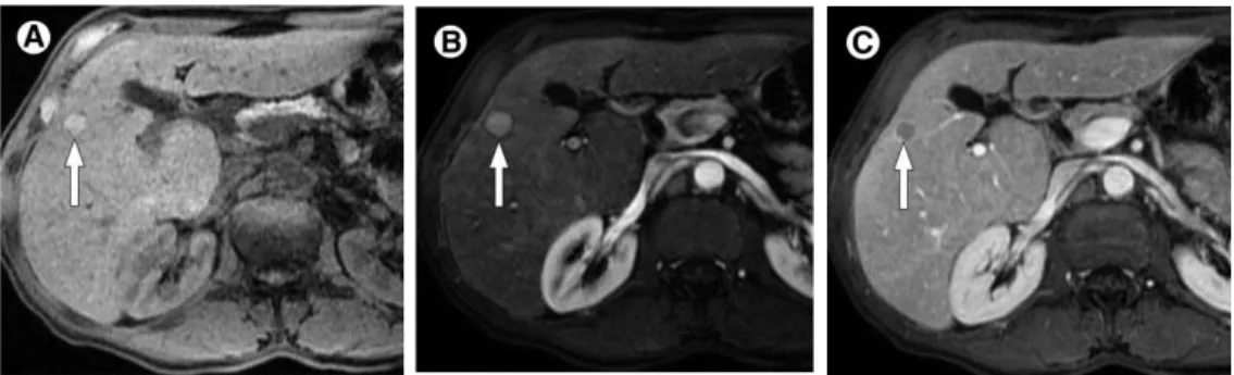 Figure 4.8: Images from one of the query topics in the medical case–based retrieval task of ImageCLEFmed 2013
