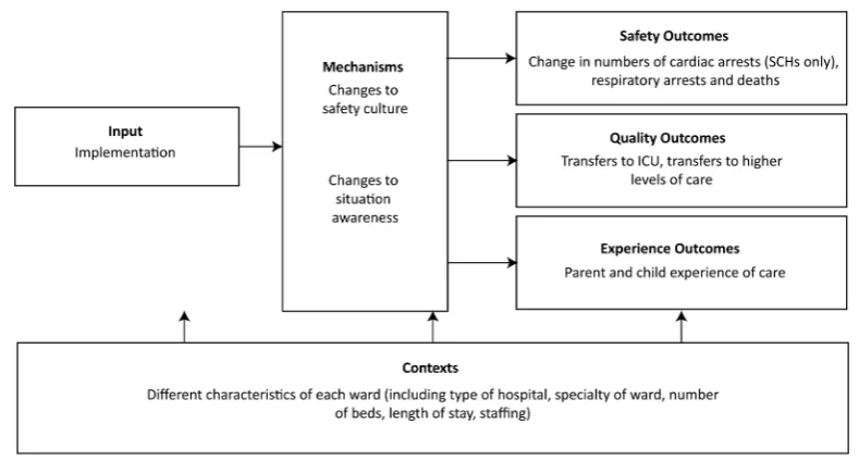 Figure 1The SAFE programme theory of change.