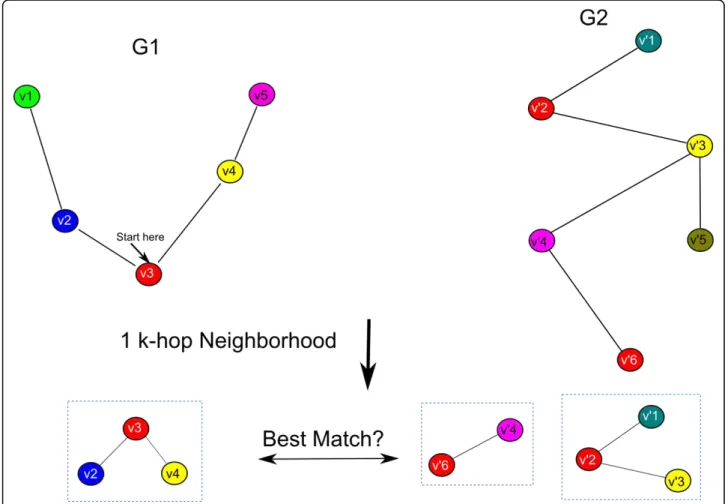 Figure 1 Graph-based ortholog representation A schematic of the graph representation of the BLAST orthologs based on protein-protein interaction networks and gene coexpression networks