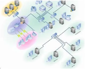 Figure 3. LAN domain [8]. 