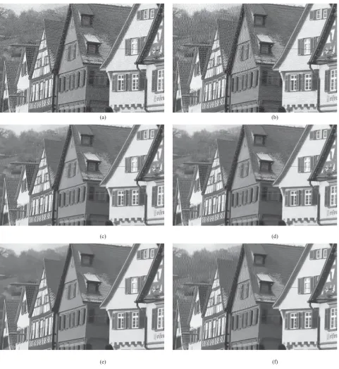 Fig. 7. Comparison between the ADM metric and the proposed metric. (a) Distorted image contaminated by white noise (MSE = 220, MOS = 4.16, ADM = 0.5416, and Proposed = 0.9269)