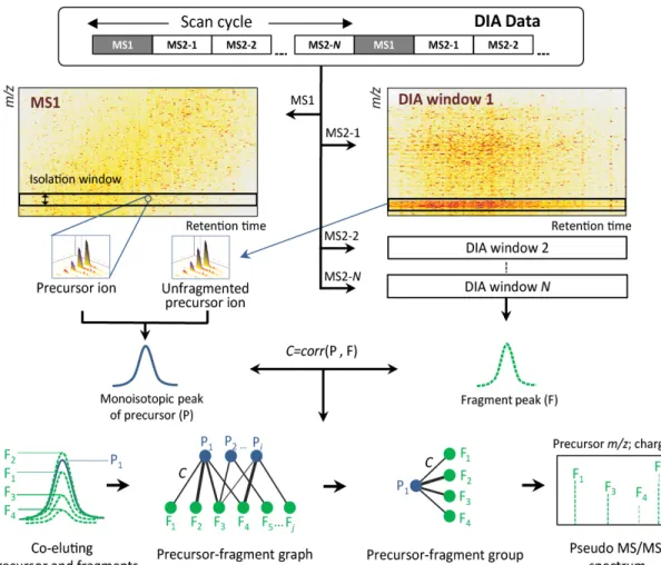 Figure 2-1 DIA-Umpire signal extraction algorithms.  