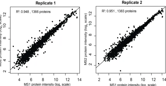 Figure 3-5 Comparison between MS1 and MS2-based protein quantification. 